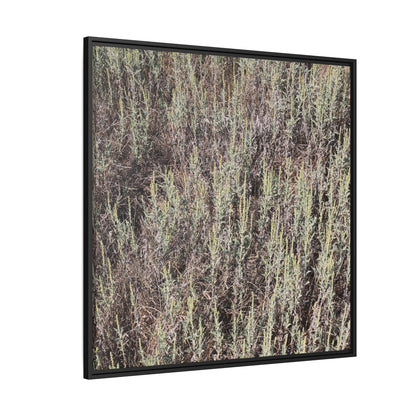 Sage Fields Forever - Unique Stretched Canvas Wall Art - Art By Earth