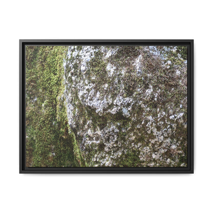 Lichen Landscape - Unique Stretched Canvas Wall Art
