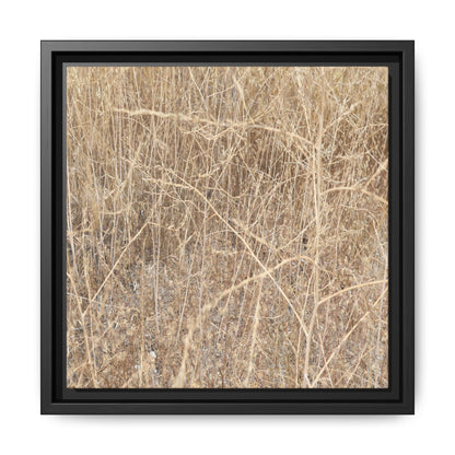 Golden Stalks - Unique Stretched Canvas Wall Art