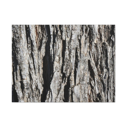 Bark Textures in Monochrome - Unique Frameless Canvas Wall Art
