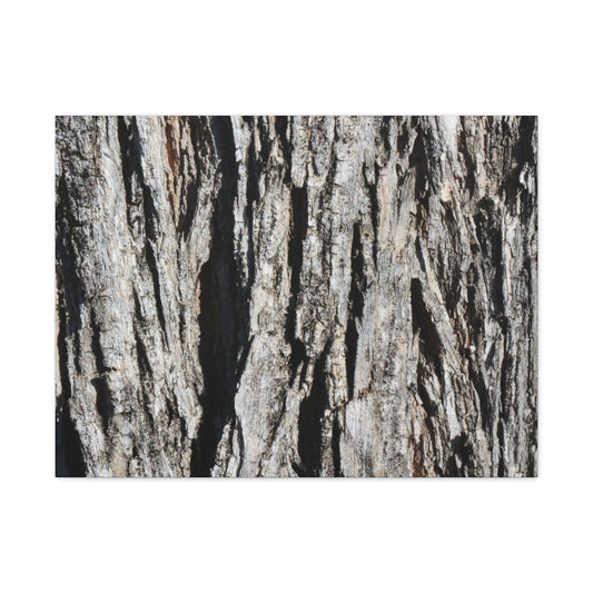 Bark Textures in Monochrome - Unique Frameless Canvas Wall Art