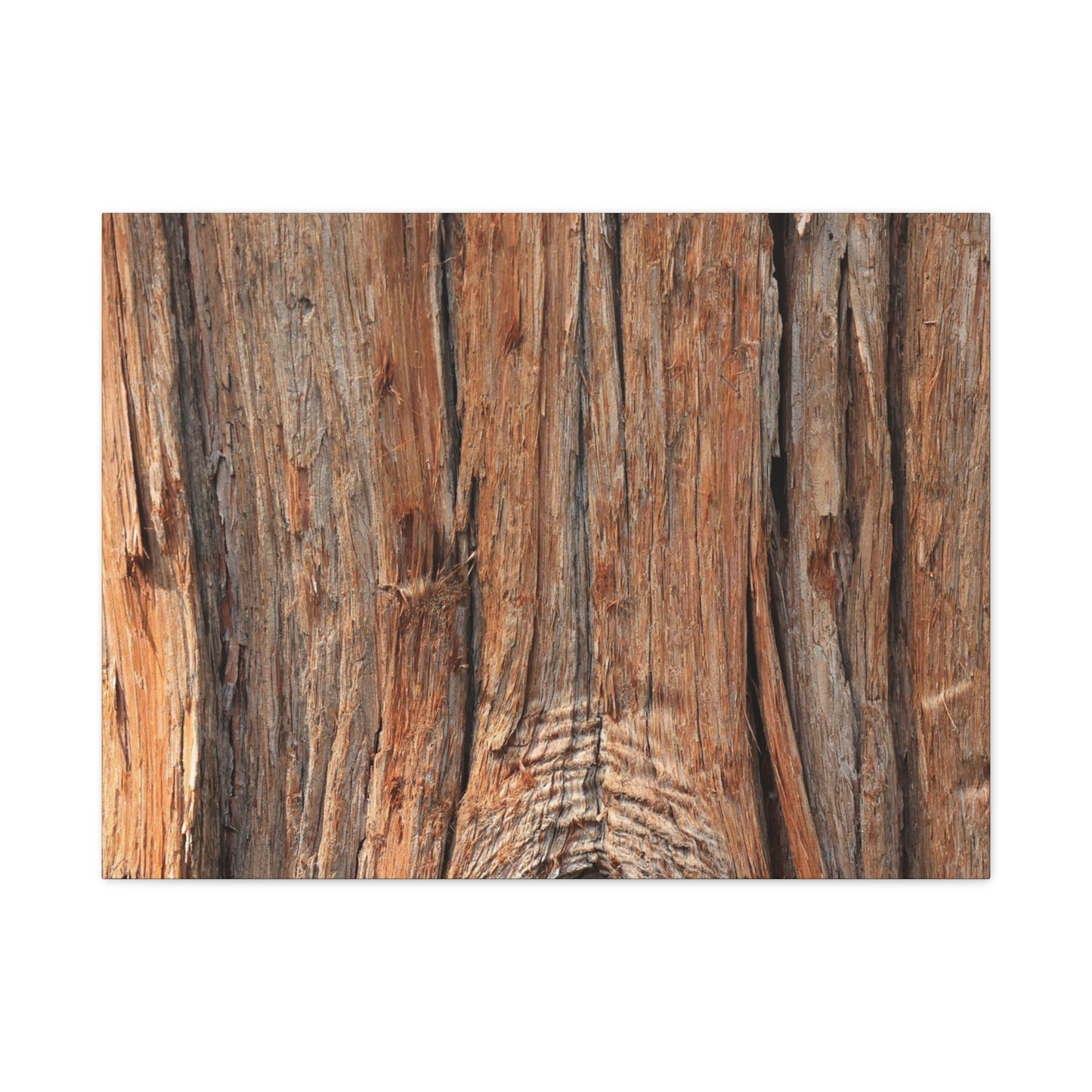 Bark's Ancient Whispers - Unique Frameless Canvas Wall Art