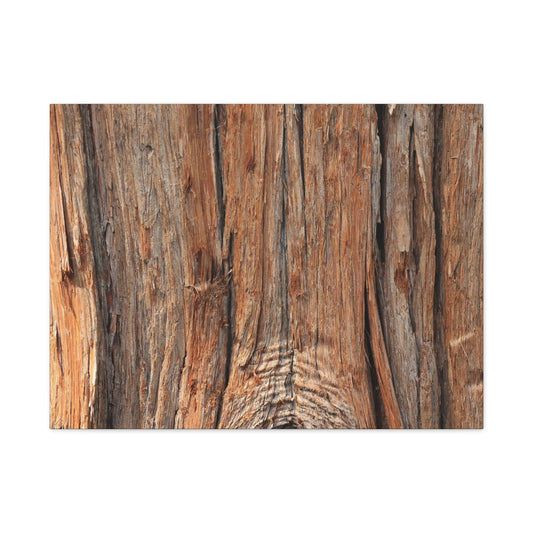 Bark's Ancient Whispers - Unique Frameless Canvas Wall Art