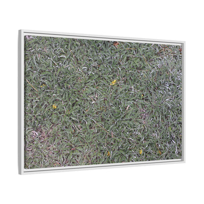Grassy Texture - Unique Stretched Canvas Wall Art