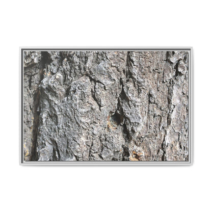 Crusty Exterior - Unique Stretched Canvas Wall Art