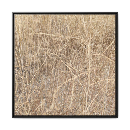 Golden Stalks - Unique Stretched Canvas Wall Art