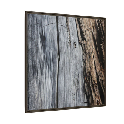 Wood's Lament - Unique Stretched Canvas Wall Art
