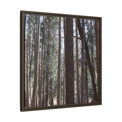 Forest Cathedral - Unique Stretched Canvas Wall Art