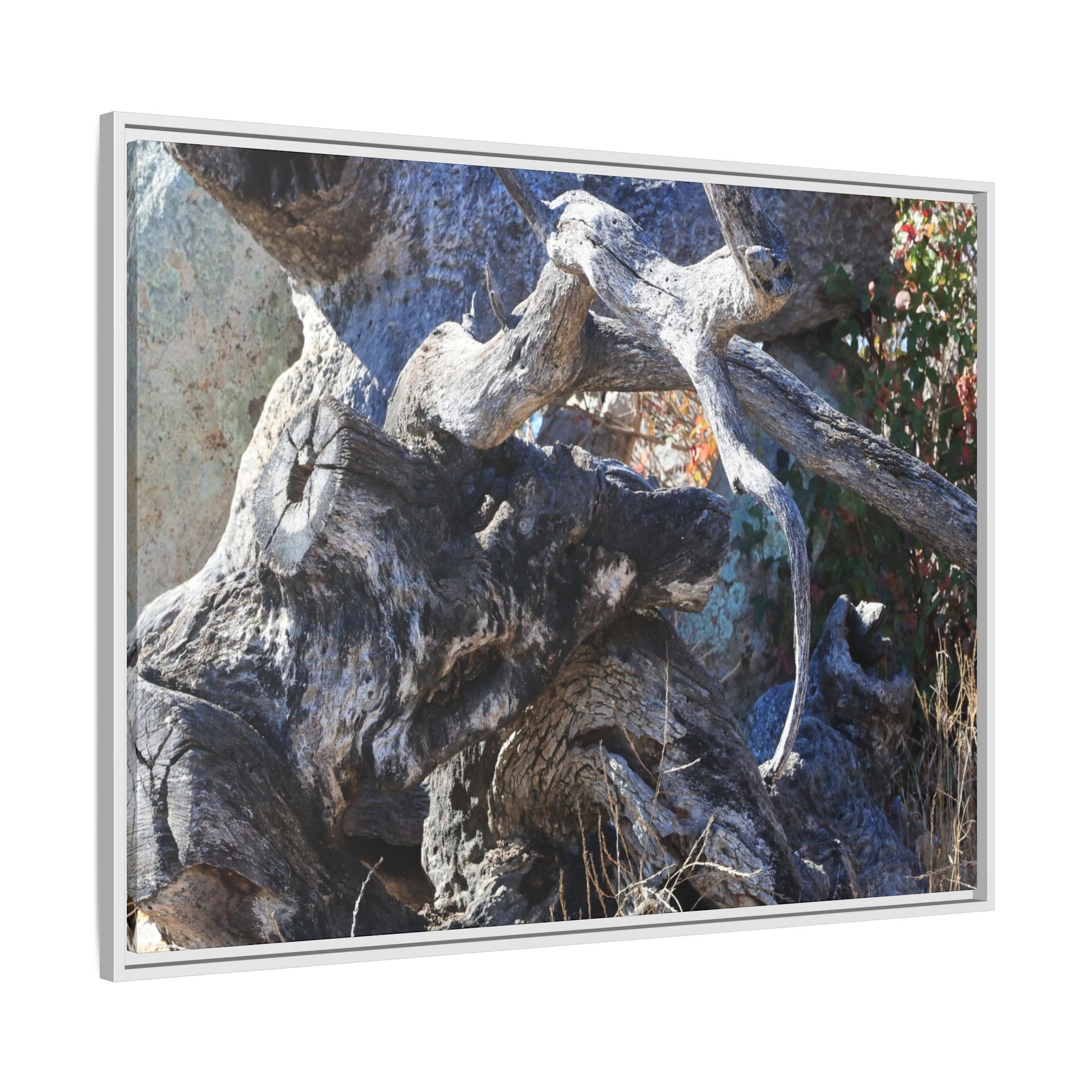 Resilient Roots - Unique Stretched Canvas Wall Art - Art By Earth