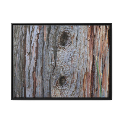 Knotty Nature - Unique Stretched Canvas Wall Art