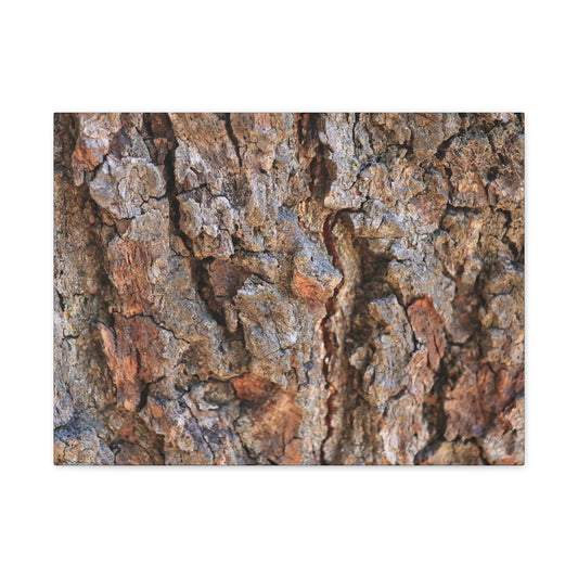 Roots of Time - Unique Frameless Canvas Wall Art