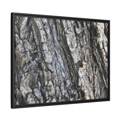 Twisted Textures - Unique Stretched Canvas Wall Art