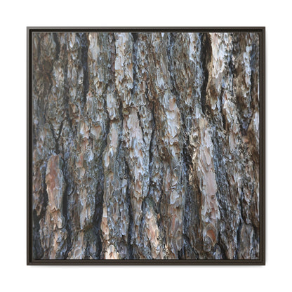 Bark Whispers - Unique Stretched Canvas Wall Art
