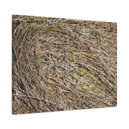 Tangled Hay - Unique Stretched Canvas Wall Art - Art By Earth