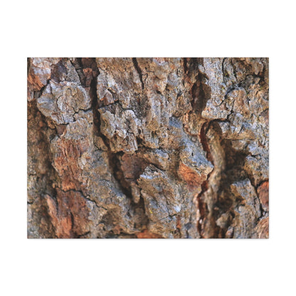 Nature's Skin - Unique Frameless Canvas Wall Art