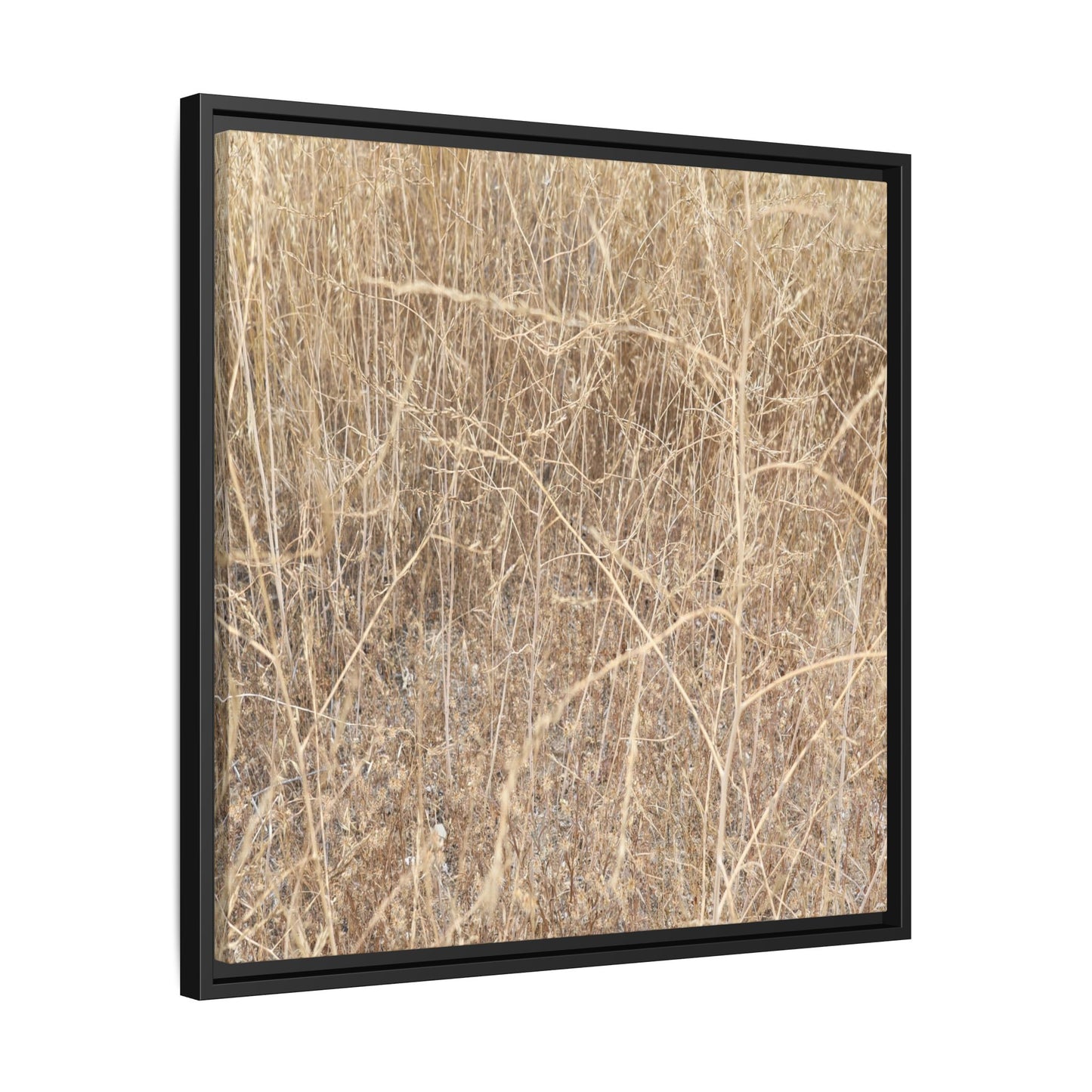 Golden Stalks - Unique Stretched Canvas Wall Art