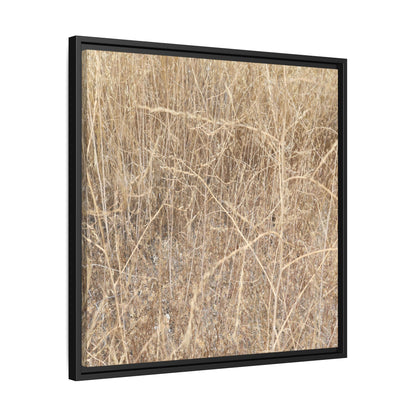 Golden Stalks - Unique Stretched Canvas Wall Art