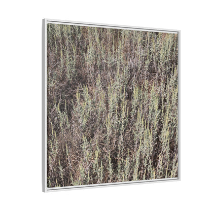 Sage Fields Forever - Unique Stretched Canvas Wall Art - Art By Earth