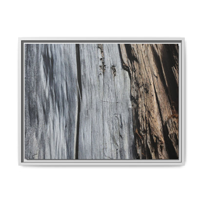 Wood's Lament - Unique Stretched Canvas Wall Art