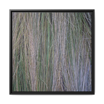 Whispers of Silver Grass - Unique Stretched Canvas Wall Art