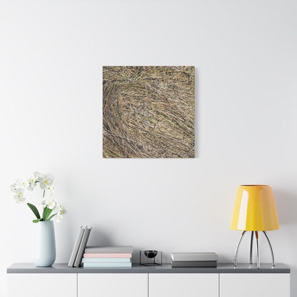 Tangled Hay - Unique Stretched Canvas Wall Art - Art By Earth