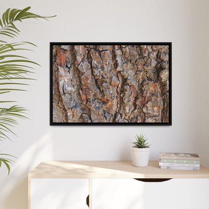 Tree's Timeworn Tale - Unique Stretched Canvas Wall Art