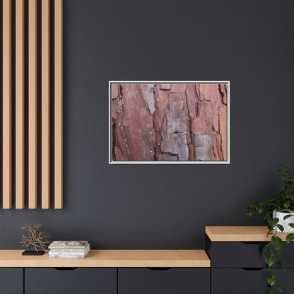 Peeling Bark - Unique Stretched Canvas Wall Art