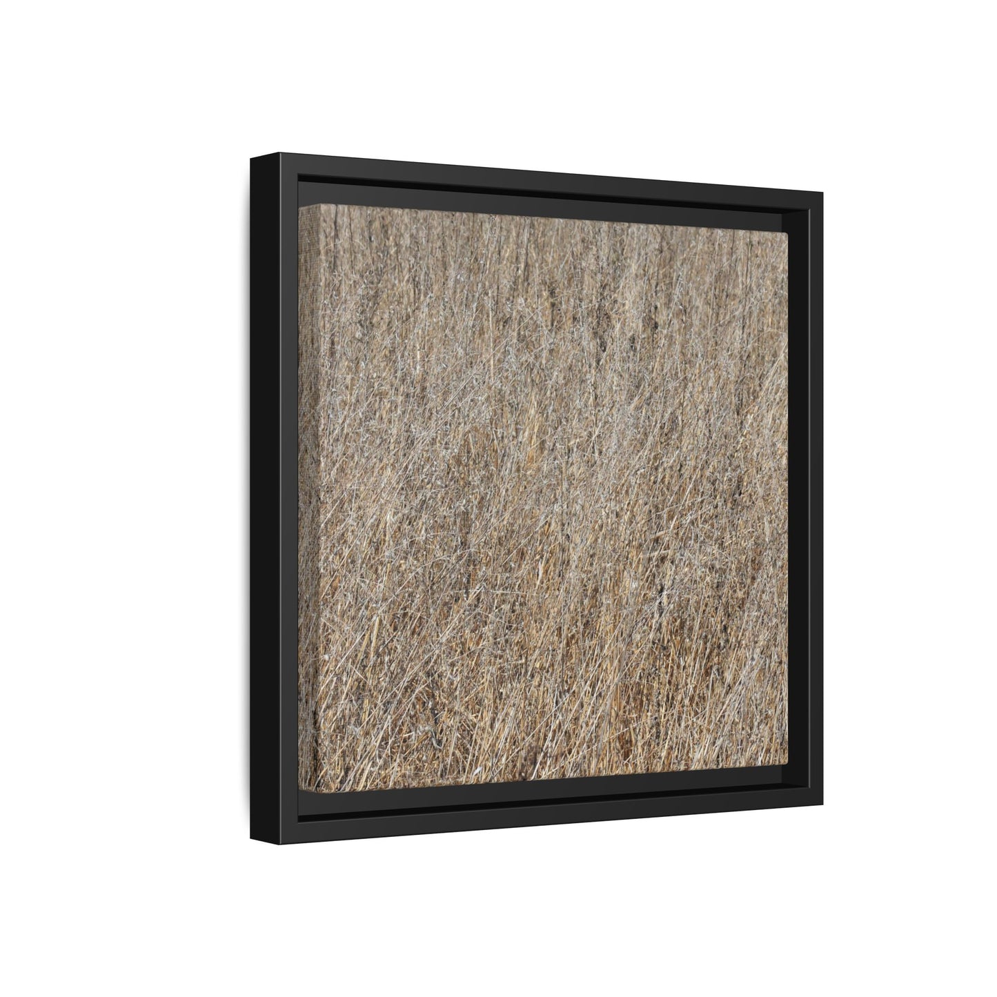 Dry Straw Symphony - Unique Stretched Canvas Wall Art - Art By Earth