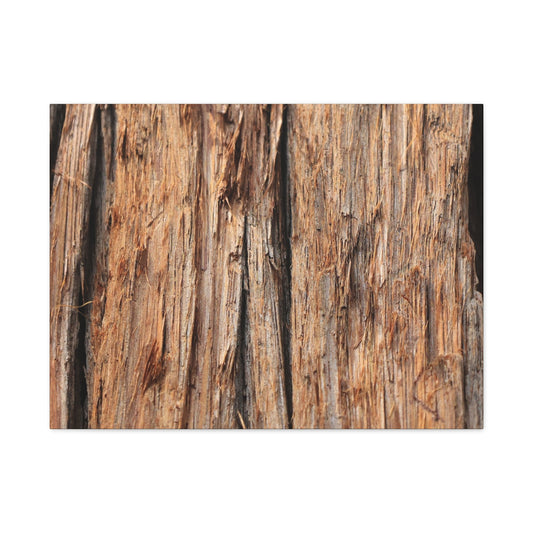 Woodland Echoes - Unique Frameless Canvas Wall Art