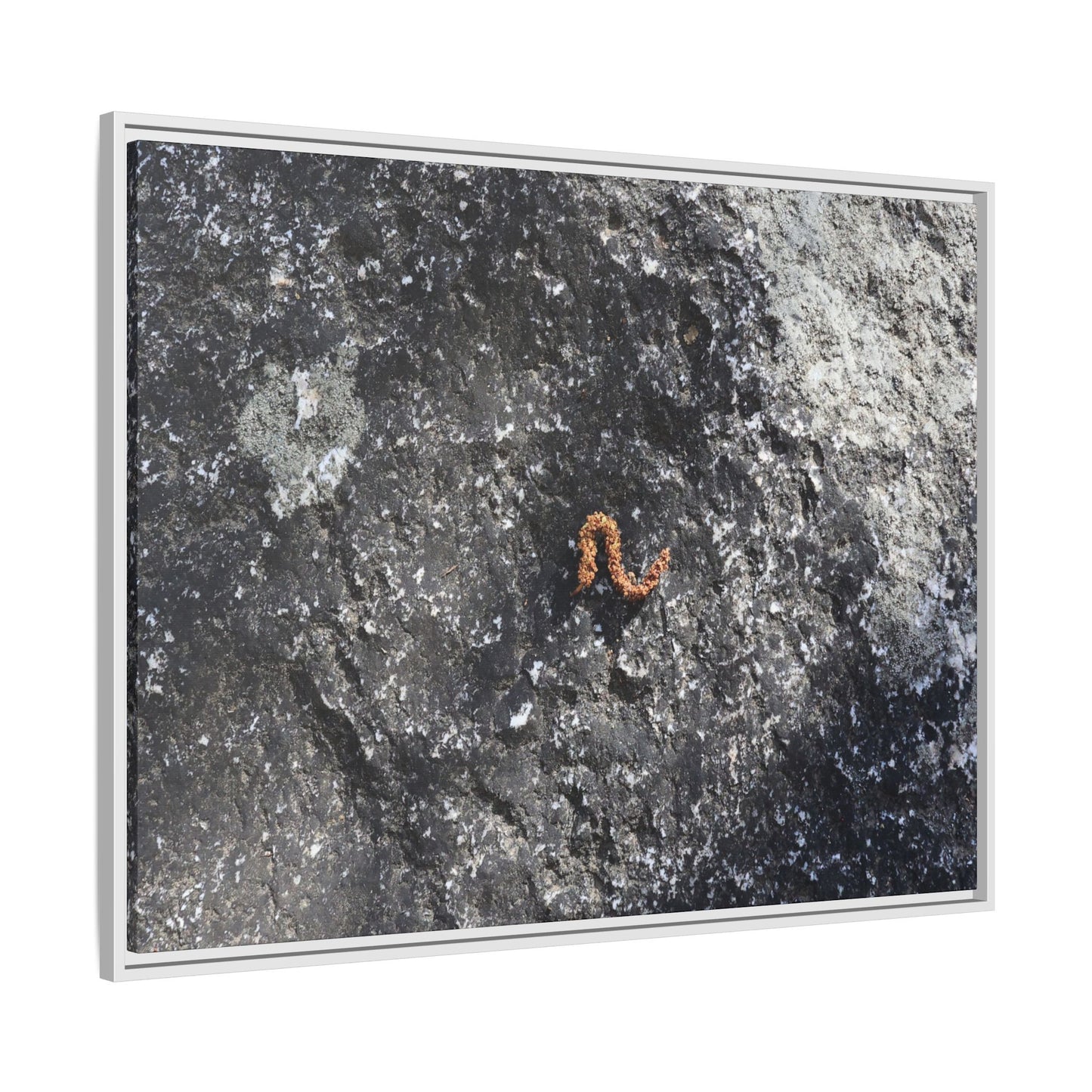 Volcanic Ash and Copper - Unique Stretched Canvas Wall Art