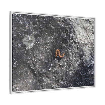 Volcanic Ash and Copper - Unique Stretched Canvas Wall Art
