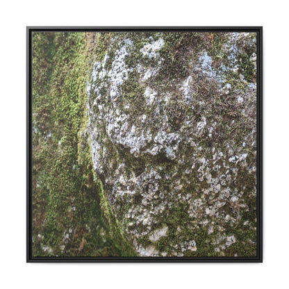 Lichen Landscape - Unique Stretched Canvas Wall Art