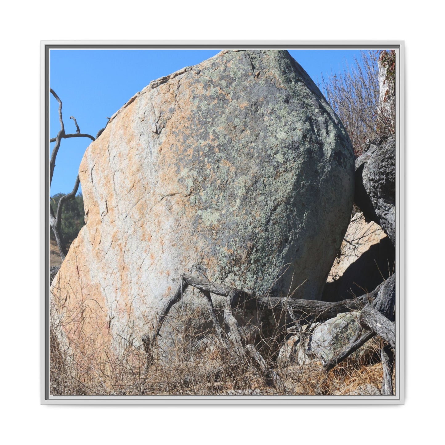 Stony Sentinel - Unique Stretched Canvas Wall Art - Art By Earth