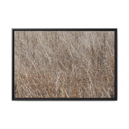 Dry Grass Symphony - Unique Stretched Canvas Wall Art - Art By Earth