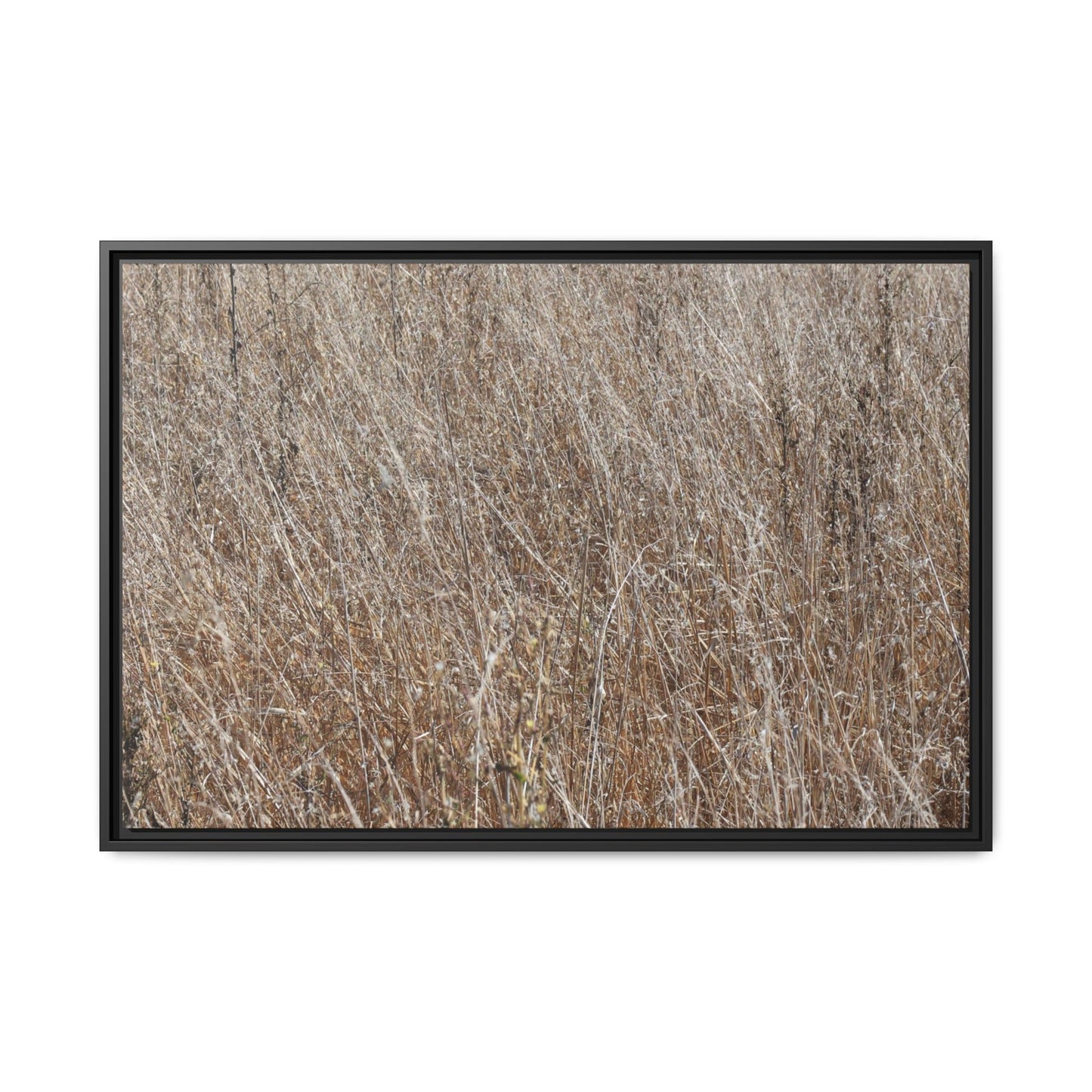 Whispers of Autumn - Unique Stretched Canvas Wall Art - Art By Earth