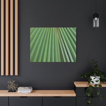 Fan of Green - Unique Frameless Canvas Wall Art