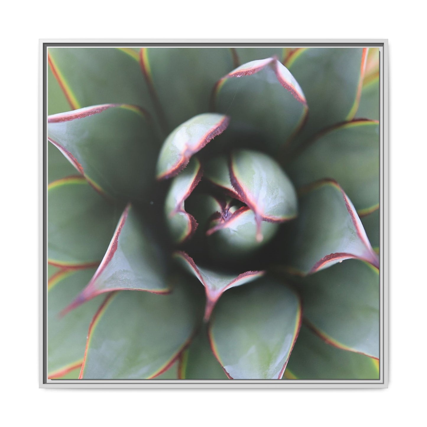 Spiky Elegance - Unique Stretched Canvas Wall Art