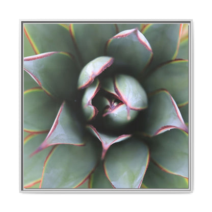Spiky Elegance - Unique Stretched Canvas Wall Art