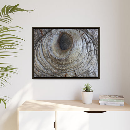Echoes of Time - Unique Stretched Canvas Wall Art