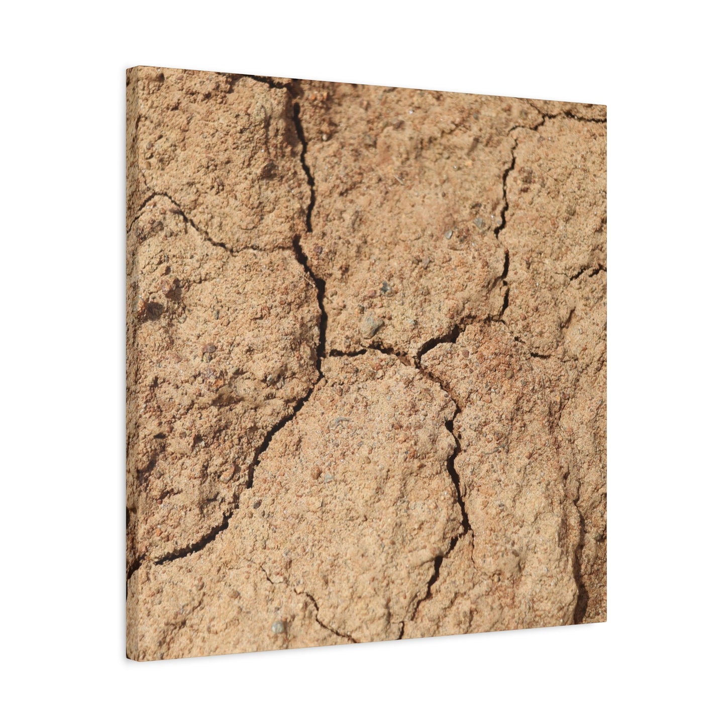 Cracked Earth's Lament - Unique Frameless Canvas Wall Art