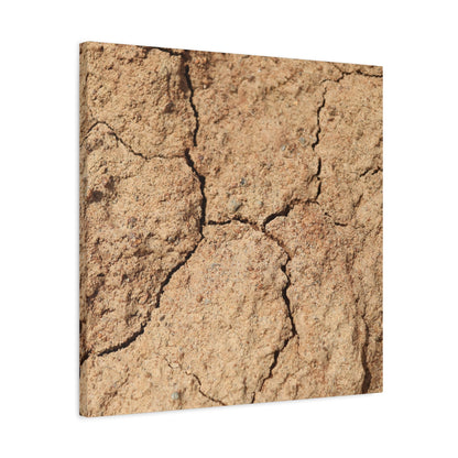Cracked Earth's Lament - Unique Frameless Canvas Wall Art