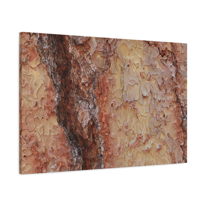 Arboreal Secrets - Unique Frameless Canvas Wall Art - Art By Earth