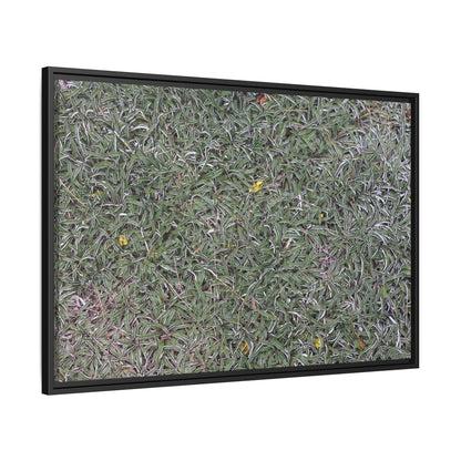 Grassy Texture - Unique Stretched Canvas Wall Art