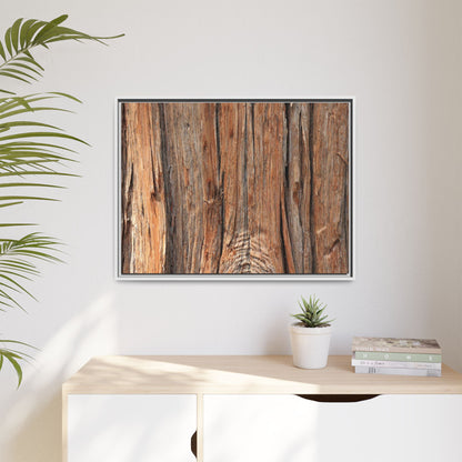 Echoes of Timber - Unique Stretched Canvas Wall Art