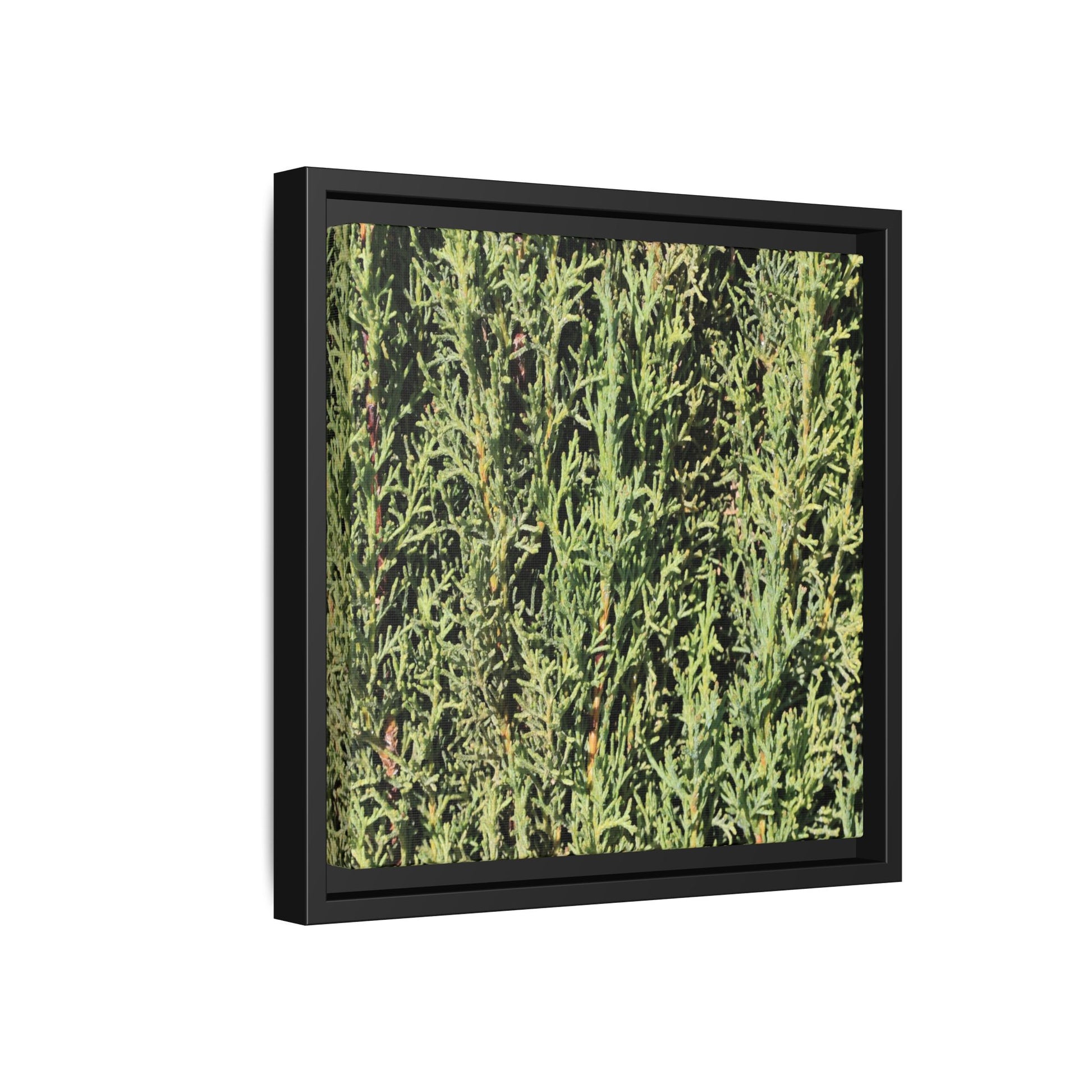 Emerald Labyrinth - Unique Stretched Canvas Wall Art - Art By Earth