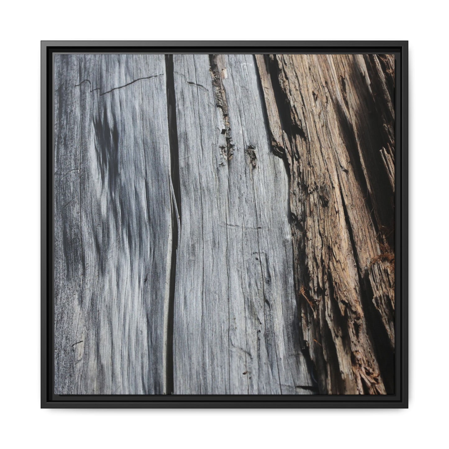Wood's Lament - Unique Stretched Canvas Wall Art
