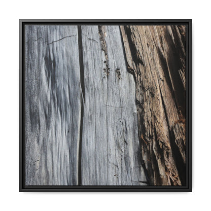 Wood's Lament - Unique Stretched Canvas Wall Art