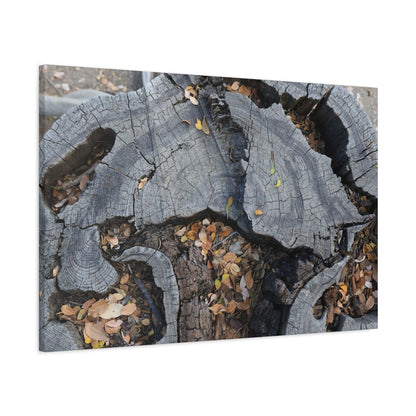 Weathered Woodland Whispers - Unique Frameless Canvas Wall Art