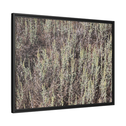 Sage Fields Forever - Unique Stretched Canvas Wall Art - Art By Earth