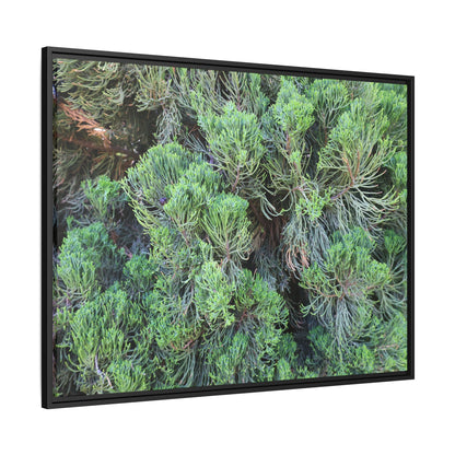 Verdant Whispers - Unique Stretched Canvas Wall Art